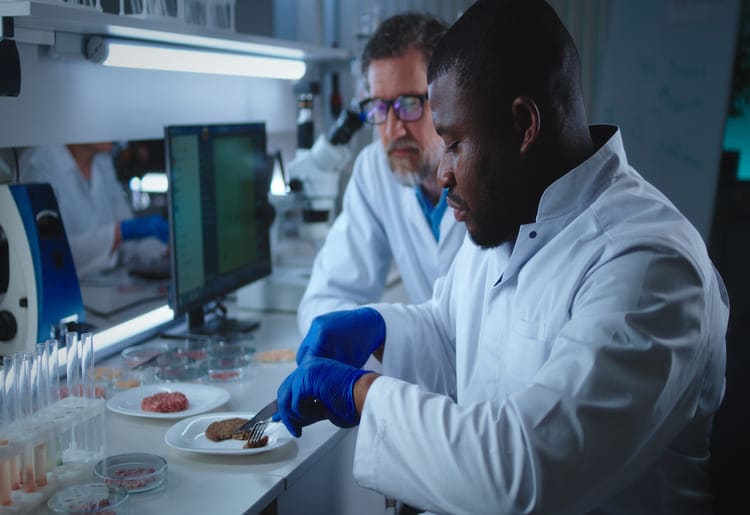 10 Groundbreaking Things to Know About Lab-Grown Meat Two scientists tasting a lab-grown meat patty, developing an optimal product.