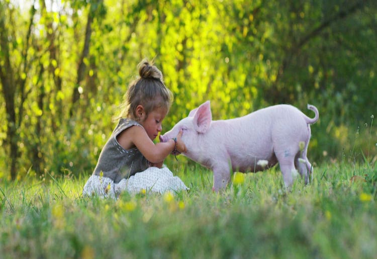 10 Groundbreaking Things to Know About Lab-Grown Meat You can show care for animals as it's a cruelty-free process.